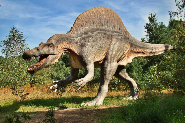 what dinosaur has 500 teeth
